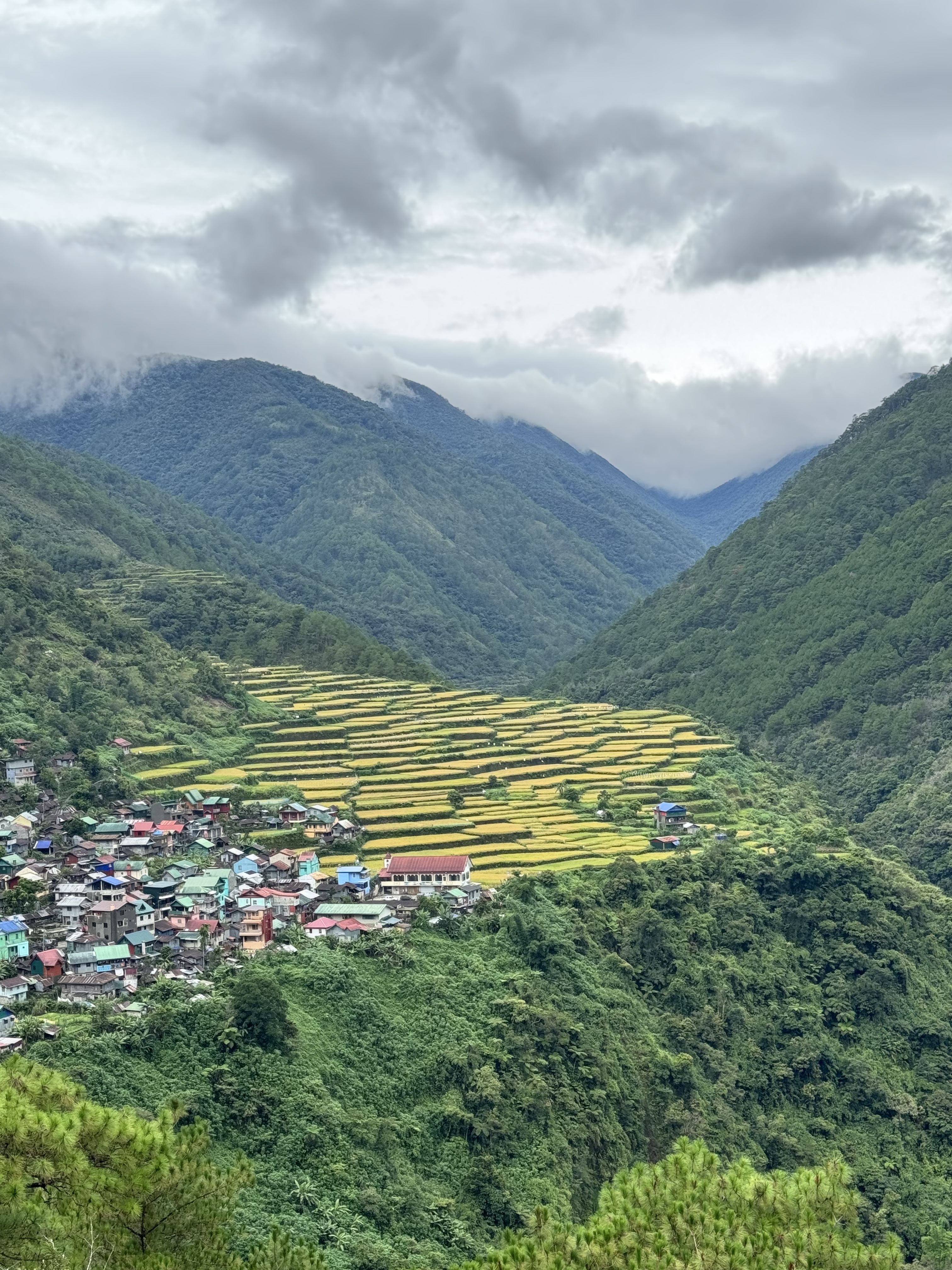 bontoc