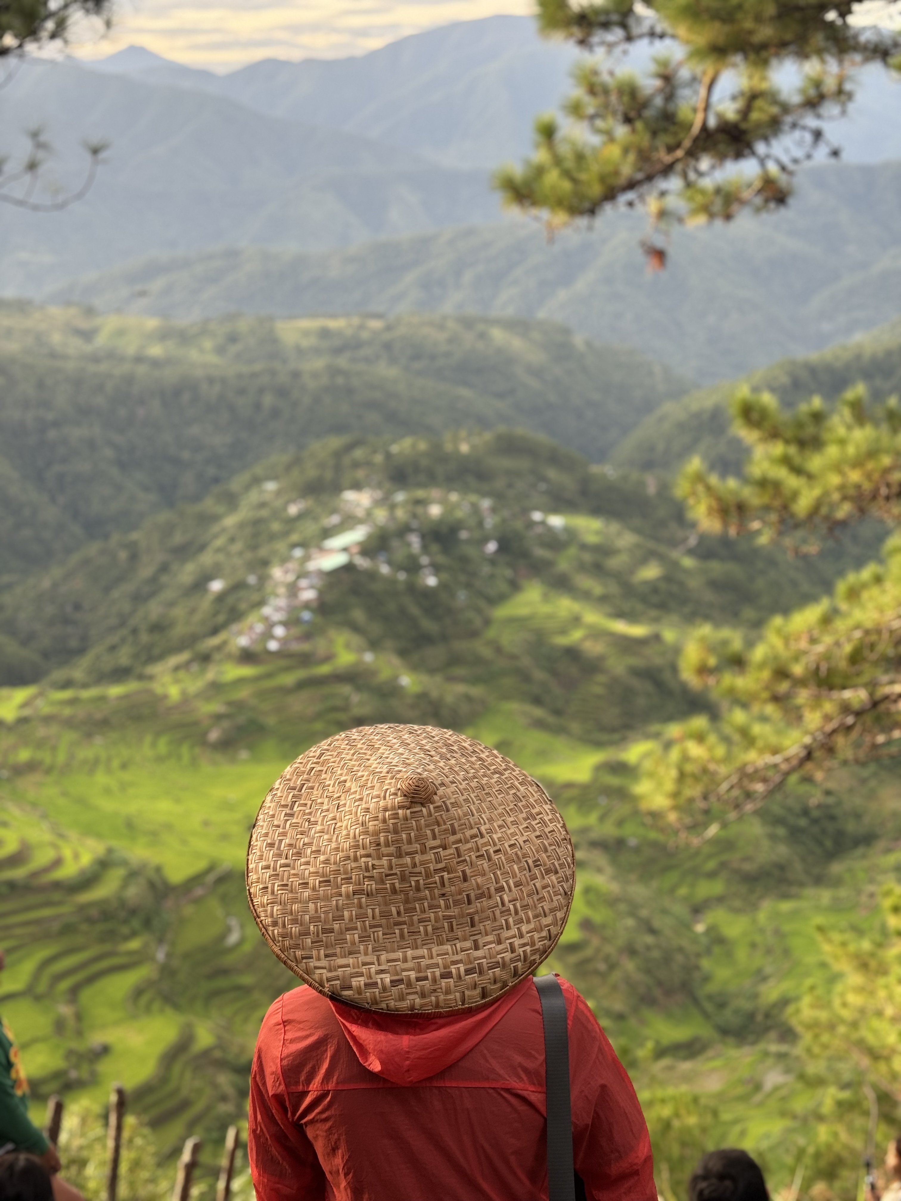 bontoc