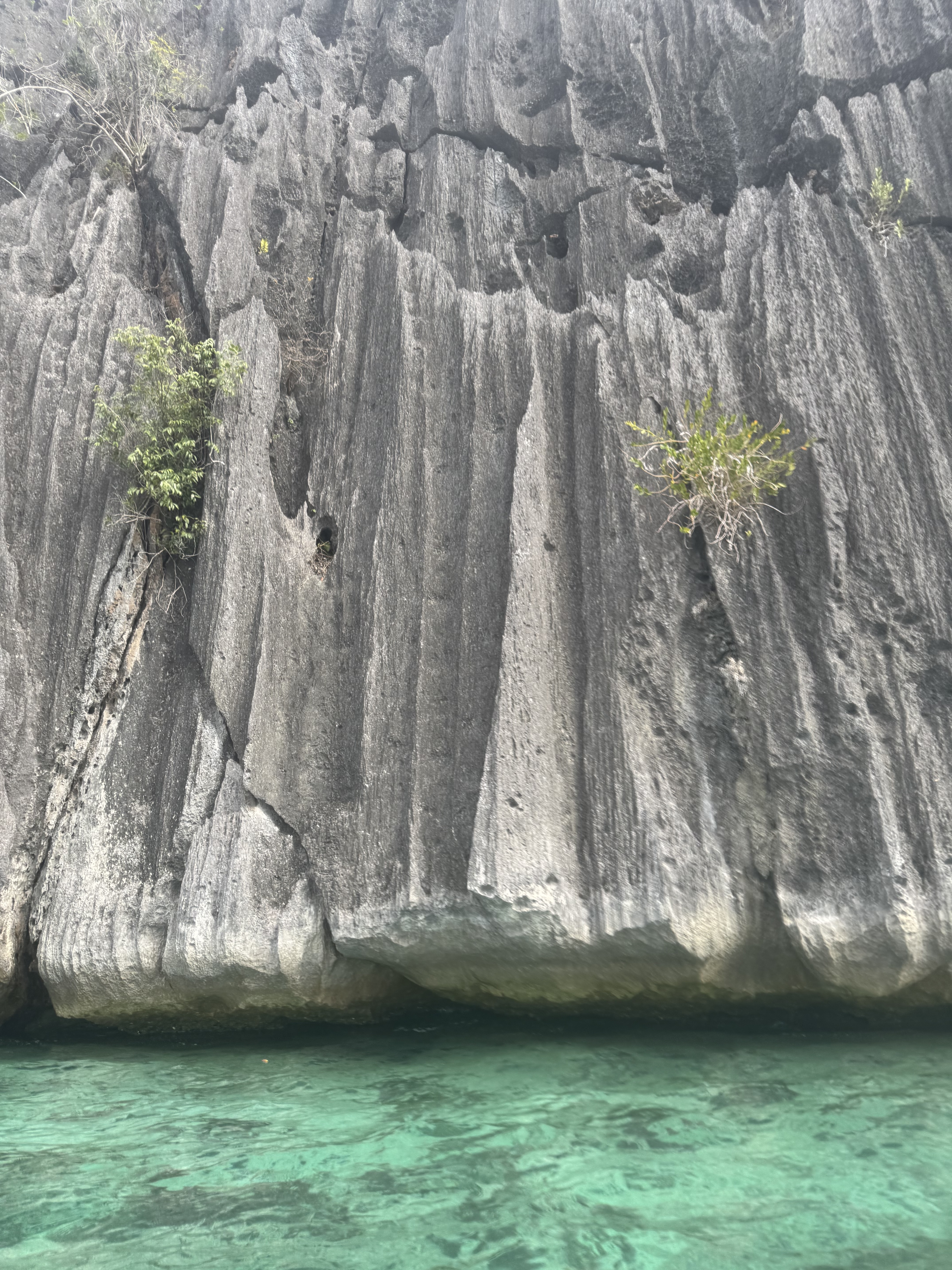 Coron